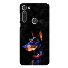 Чохли з картинкою животних Motorola MOTO G8 (Собака)