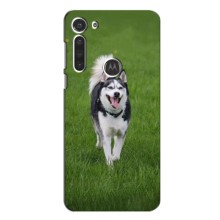 Чохол з Хаскі Motorola Moto G8 - (AlphaPrint) (Радісний Хаскі)