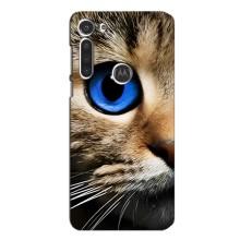 Чехлы с Котиками для Motorola MOTO G8 (VPrint) – Глаз кота