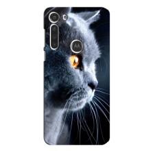 Чехлы с Котиками для Motorola MOTO G8 (VPrint) – Серый Кот