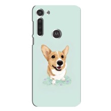 Чехлы с собаками для Motorola MOTO G8 (VPrint) (Корги)