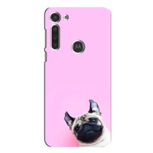 Чехлы с собаками для Motorola MOTO G8 (VPrint) (Смешная собака)