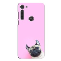 Бампер для Motorola Moto G8 с картинкой "Песики" – Собака на розовом