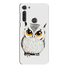 Чохол з пташками на Motorola MOTO G8 (VPrint) (Мила Сова)