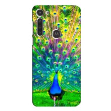 Чохол з пташками на Motorola MOTO G8 (VPrint) (Яскравий Павлин)
