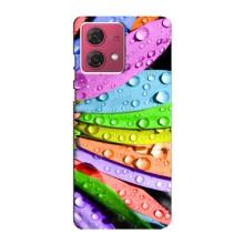 Чехлы (ART) Цветы на Motorola MOTO G84 (VPrint) (Семиквітка)