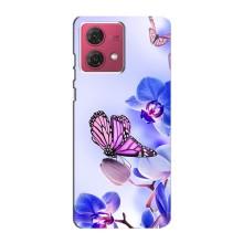 Чохли з квітами для Motorola MOTO G84 (VPrint) (Метелик на квітах)