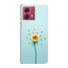 Чохли з квітами для Motorola MOTO G84 (VPrint) (Жовта квітка)