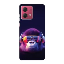 Чехлы с Горилой на Мото Джи84 – Стильная обезьяна