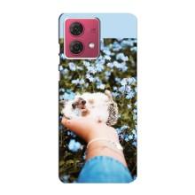 Чохли з зображенням різних тварин на Motorola MOTO G84 (Їжачок в руці)