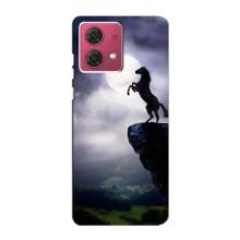 Чохли з зображенням різних тварин на Motorola MOTO G84 (Кінь)