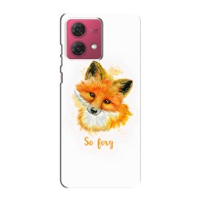 Чохли з картинкою Лисичка для Motorola MOTO G84 (VPrint) (Дівчинка Лиса)