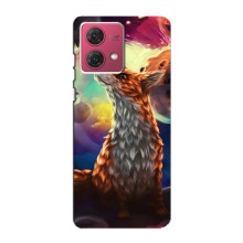 Чохли з картинкою Лисичка для Motorola MOTO G84 (VPrint) (Лисичка в космосі)