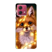Чохли з картинкою Лисичка для Motorola MOTO G84 (VPrint) (Лисичка в гірляндах)