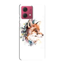 Чохли з картинкою Лисичка для Motorola MOTO G84 (VPrint) (Лиса в квітах)
