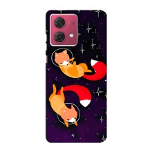 Чохли з картинкою Лисичка для Motorola MOTO G84 (VPrint) (Лисички космонавти)