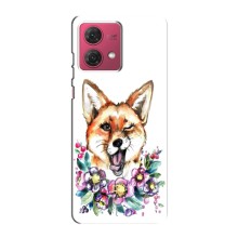 Чохли з картинкою Лисичка для Motorola MOTO G84 (VPrint) (Весела лисичка)