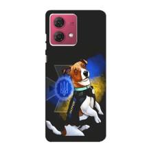 Чохли з картинкою собаки Патрон для Motorola MOTO G84 (AlphaPrint) (Патрон собачка)