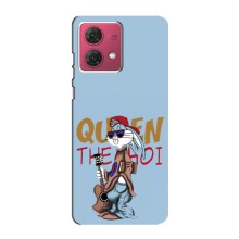 Чохли з крутими принтами для Motorola MOTO G84 - (PREMIUMPrint) (Бакс Бани)