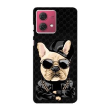 Чохли з крутими принтами для Motorola MOTO G84 - (PREMIUMPrint) (Стильна собака)