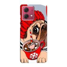Чохли з собаками для Motorola MOTO G84 (VPrint) (Песик в шапці)
