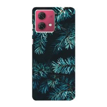 Чехол Новогодняя Елка на Motorola MOTO G84 (Ель)