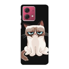 Чохол з принтом для Motorola MOTO G84 (AlphaPrint) Модні коти (Сумний кіт)