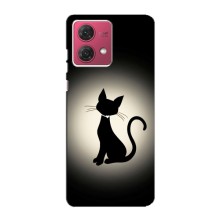 Чохол з принтом для Motorola MOTO G84 (AlphaPrint) Модні коти (Силует котика)