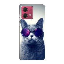 Чохол з принтом для Motorola MOTO G84 (AlphaPrint) Модні коти (Стильний кіт)