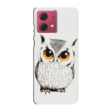 Чохол з пташками на Motorola MOTO G84 (VPrint) (Мила Сова)