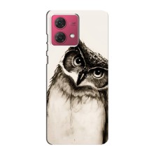 Чохол з пташками на Motorola MOTO G84 (VPrint) (Сова)