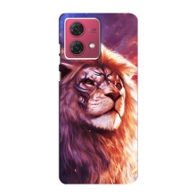 Чохол з картинкою ЛЕВ для Motorola MOTO G84 (VPrint) (Красочний Лев)