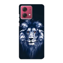 Чохол з картинкою ЛЕВ для Motorola MOTO G84 (VPrint) (Синій Лев)