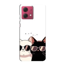Чохол з малюнком кіт на Motorola MOTO G84 (Коти в окулярах)