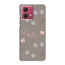 Чохол з малюнком кіт на Motorola MOTO G84 (Лапи і вуса)