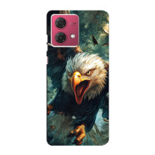 Чохол з картинкою 'Хижаки' для Motorola MOTO G84 – Орел