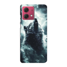 Чехол с картинкой «Хищники» для Motorola MOTO G84