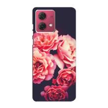 Чехлы с тематикой "ЦВЕТЫ" на Motorola MOTO G84 (Бутоны)