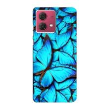 Силіконовий бампер з картинкою звірів для Motorola MOTO G84 (Крила метеликів)