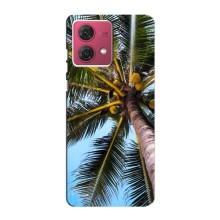Силіконовий чохол з КАРТИНКАМИ літо для Motorola MOTO G84 (AlphaPrint) (Пальма)