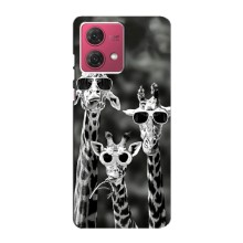 Силіконовий чохол з КАРТИНКАМИ літо для Motorola MOTO G84 (AlphaPrint) (Жирафи в окулярах)