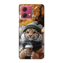 Друкований чохол 'Звірята з кавою' для Motorola MOTO G84 – Тигр з кавою