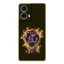 Чехлы на военную тематику для Motorola MOTO G85 – Бавовна мем