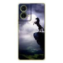 Чохли з зображенням різних тварин на Motorola MOTO G85 (Кінь)