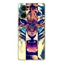Чохли з зображенням різних тварин на Motorola MOTO G85 (Яскравий Тигр)