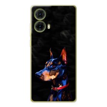 Чехлы с картинками животных Motorola MOTO G85 (Собака)