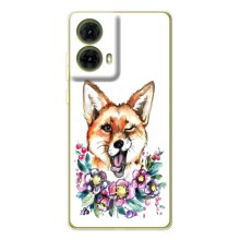 Чехлы с картинкой Лисички для Motorola MOTO G85 (VPrint) (Веселая лисичка)