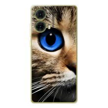 Чехлы с Котиками для Motorola MOTO G85 (VPrint) (Глаз кота)