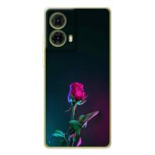 Чохли з принтом Троянд для Motorola MOTO G85 – Нічна троянда
