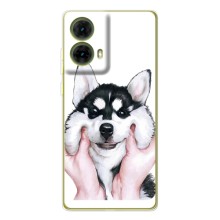 Чехлы с собаками для Motorola MOTO G85 (VPrint) (Довольный Хаски)